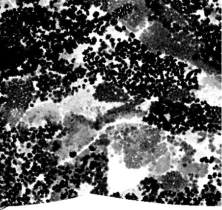 LidarPointCloudManager HeightOverGround.png