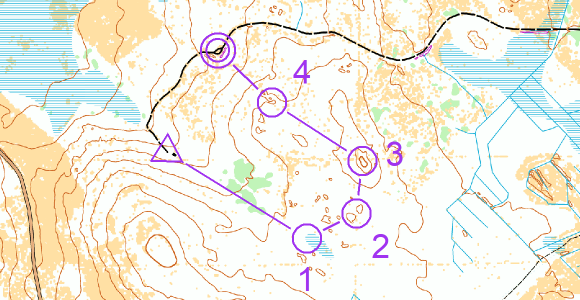 WMS Course FI.png