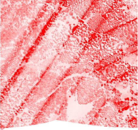 LidarPointCloudManager VegetationDensity.png