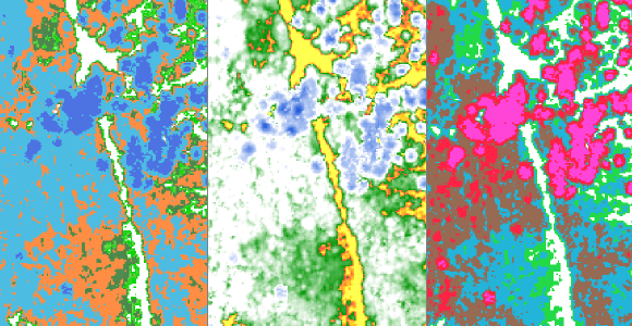 VegetationHeightMaps.png