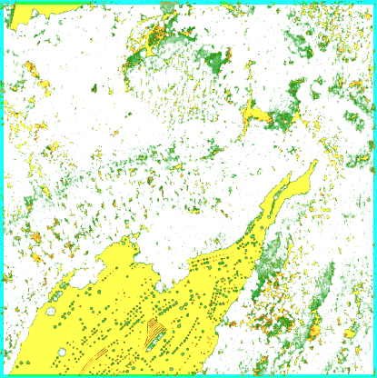 DEMResultVegetationHeightMap.png