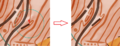Thumbnail for version as of 14:21, 12 November 2015