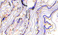 Thumbnail for version as of 14:52, 4 January 2021