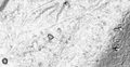 Thumbnail for version as of 16:40, 23 July 2024