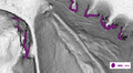 Thumbnail for version as of 16:13, 28 June 2018