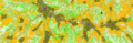 Thumbnail for version as of 14:34, 11 August 2020